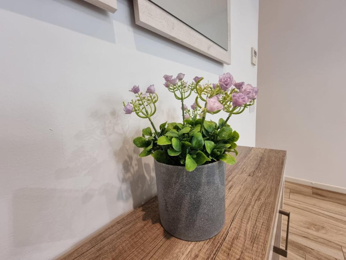 Carolinas Suit Apartment Alicante Luaran gambar